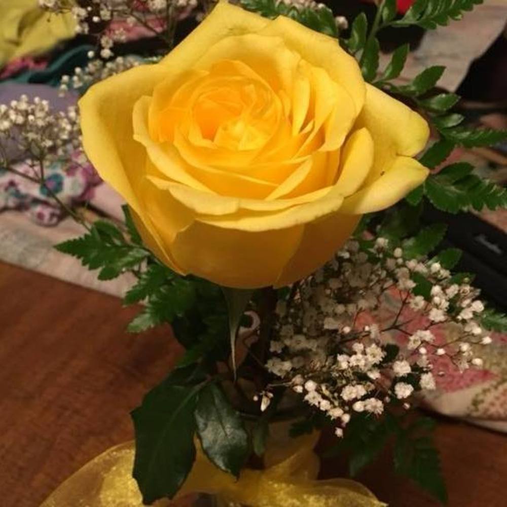 Meet your Posher, Alicia